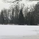 normal_01022012fmt_eislepi_ta_018.JPG