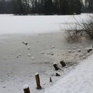 normal_01022012fmt_eislepi_ta_019.JPG