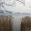 Bilder vom Obertrumer See