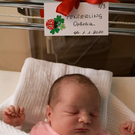 Neujahrsbaby 2010 - Ophelia kam in Vorarlberg um 00:10 Uhr zur Welt 