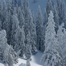 RK_Land_00040 _Large_.JPG