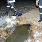 01-03022012_Eisstau_Ameisbach NK _2_.JPG