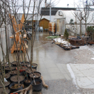 02-04022012_Eisstau_Ternitz Pottschach _11_.jpg