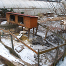 02-04022012_Eisstau_Ternitz Pottschach _12_.jpg