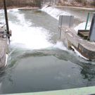 02-04022012_Eisstau_Ternitz Pottschach _2_.jpg