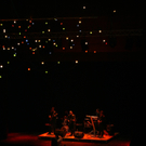 IMG_8376_jpg-1328434130.jpg