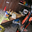 silvester09030.jpg