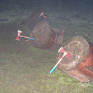 silvester09074.jpg