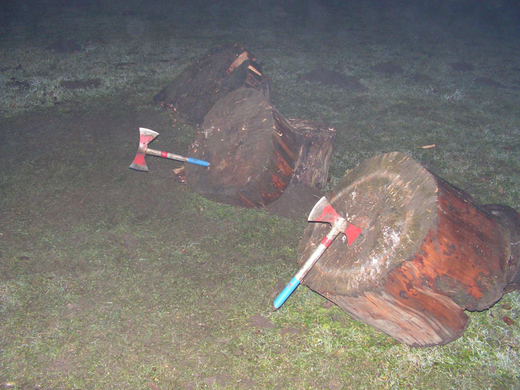 silvester09074.jpg