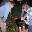 silvester09086.jpg