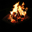 silvester09121.jpg