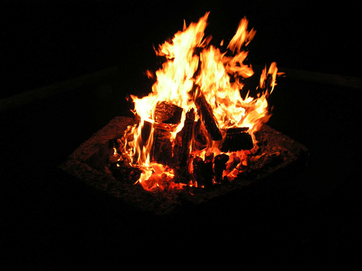 silvester09121.jpg