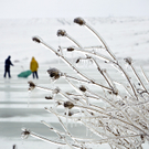 Kältewelle: Frostige Bilder aus ganz Europa