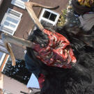 Rungeliner Umzug_47.jpg