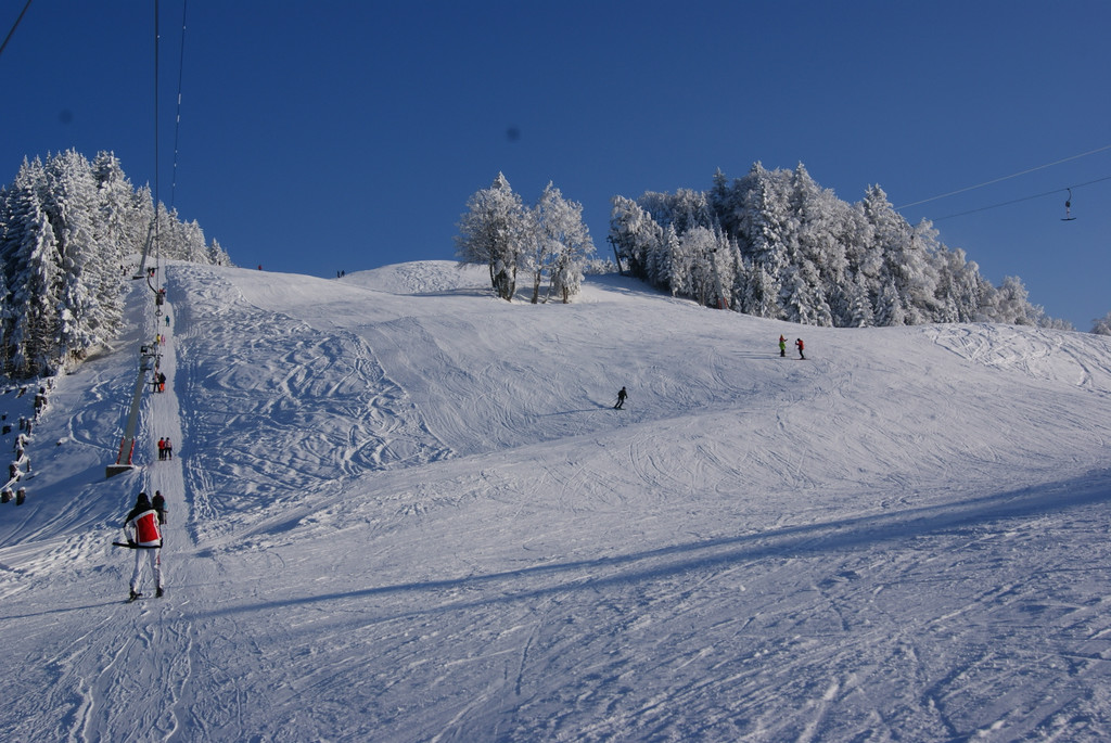 DSC04110.JPG