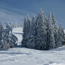 Skitouren, Andelsbucher und Mittelbregenzerwälder Berglandschaft