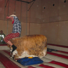 BK_butzvarruckt_ball_2012 16_jpg-1328476256