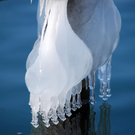 eisgebilde06_jpg-1328489783