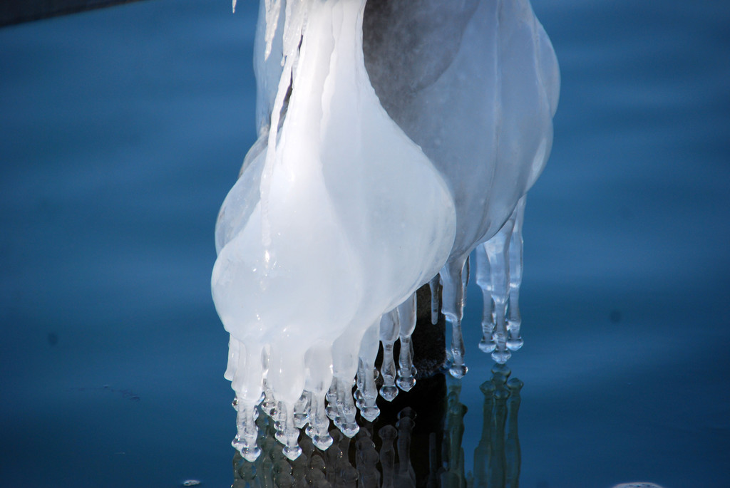 eisgebilde06_jpg-1328489783