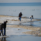 winter_am_seeufer05_jpg-1328489916