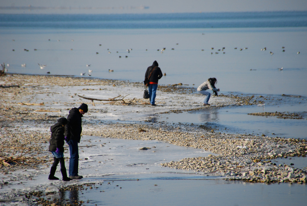 winter_am_seeufer05_jpg-1328489916