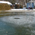 05022012schlittschuhwoerthsee_de_04_001__5_.JPG