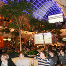IMG_9860.jpg
