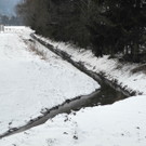 DSCN9898_jpg-1328513107