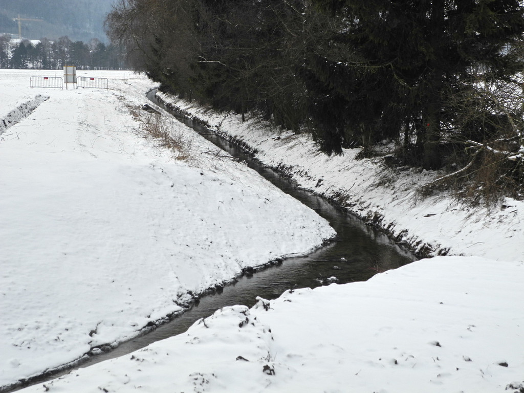 DSCN9898_jpg-1328513107