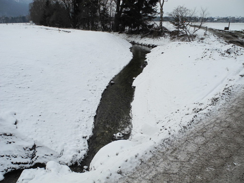 DSCN9899_jpg-1328513124