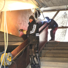 DSCN9864_jpg-1328514601