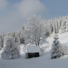 kaltLudescherberg.JPG