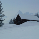 kaltmarkus.JPG