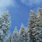 kaltmarkus3.JPG