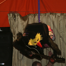 DSC03628.JPG