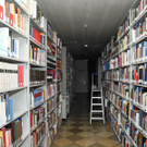 DSCN9763_jpg-1328531752