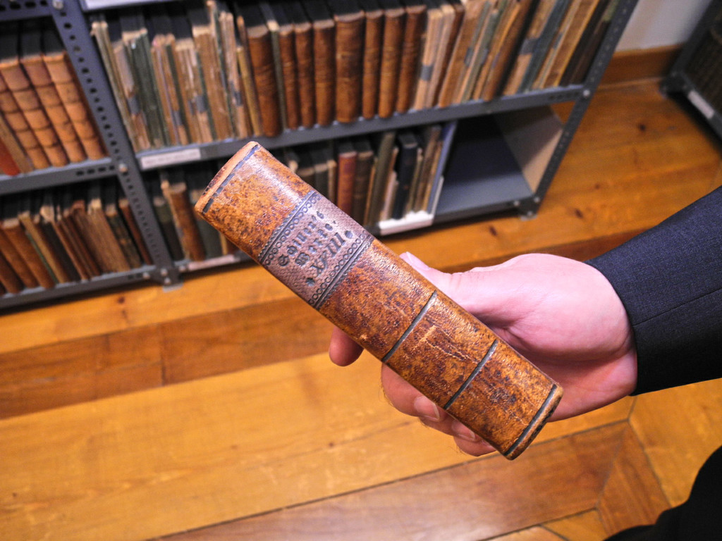 DSCN9774_jpg-1328531928