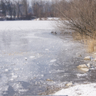 DSC08336.JPG