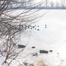 DSC08344.JPG