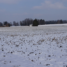 DSC08357.JPG