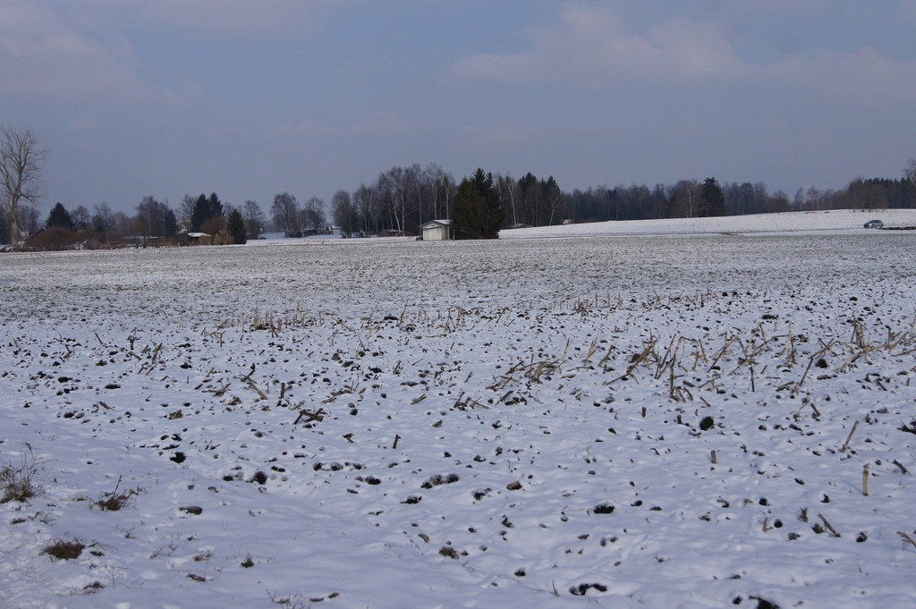 DSC08357.JPG
