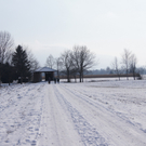 DSC08358.JPG