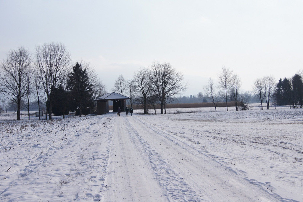 DSC08358.JPG