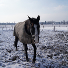DSC08364.JPG