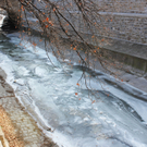 IMG_1975.JPG