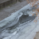 IMG_1976.JPG
