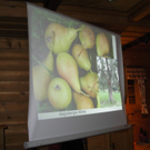 DSCN0054.JPG
