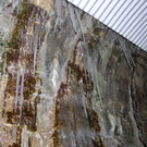 113_7359_JPG-1328564044