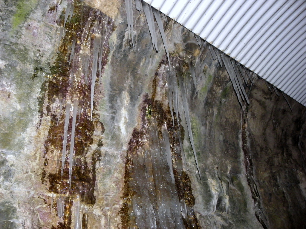 113_7359_JPG-1328564044