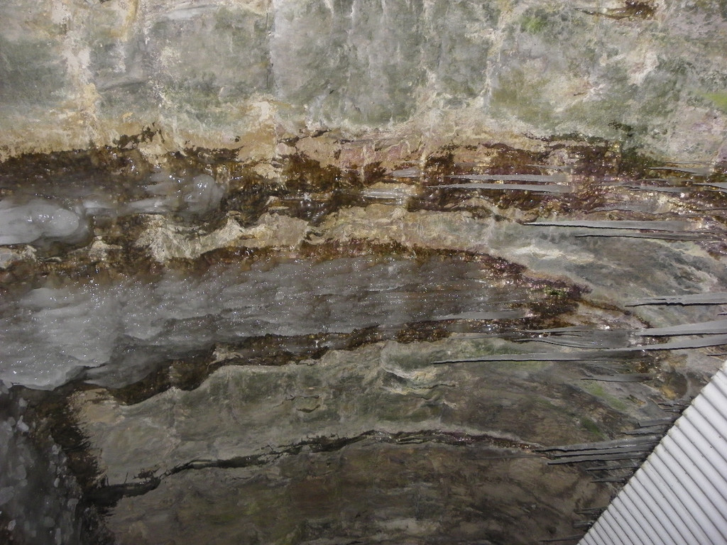 113_7360_JPG-1328564054